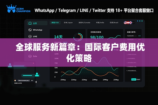  全球服务新篇章：国际客户费用优化策略