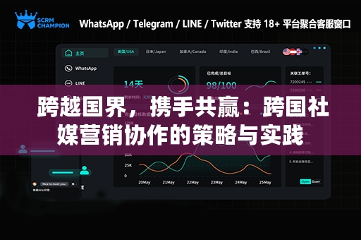  跨越国界，携手共赢：跨国社媒营销协作的策略与实践