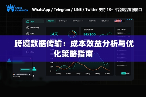  跨境数据传输：成本效益分析与优化策略指南