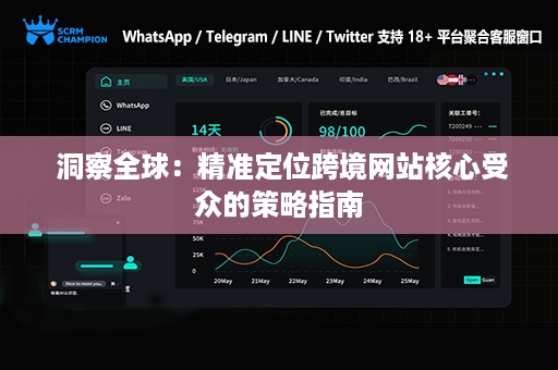  洞察全球：精准定位跨境网站核心受众的策略指南