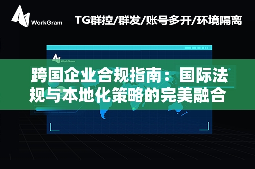  跨国企业合规指南：国际法规与本地化策略的完美融合