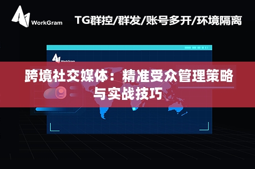  跨境社交媒体：精准受众管理策略与实战技巧