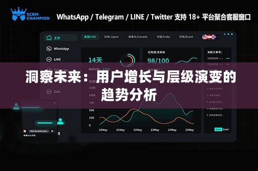 洞察未来：用户增长与层级演变的趋势分析