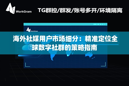  海外社媒用户市场细分：精准定位全球数字社群的策略指南