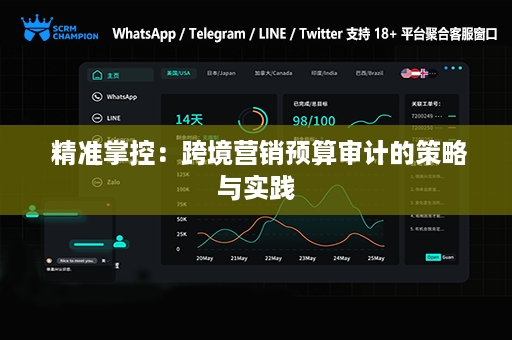  精准掌控：跨境营销预算审计的策略与实践