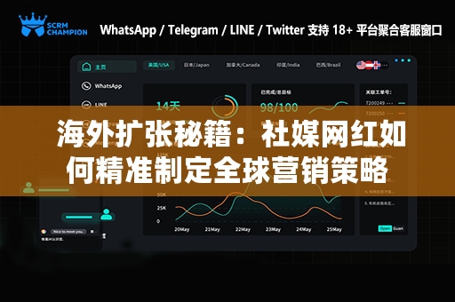  海外扩张秘籍：社媒网红如何精准制定全球营销策略