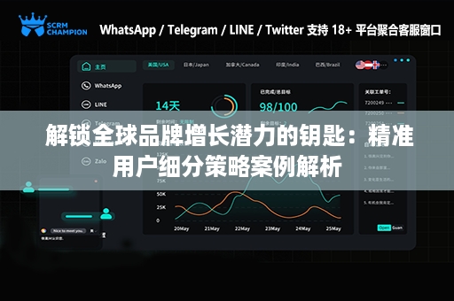  解锁全球品牌增长潜力的钥匙：精准用户细分策略案例解析