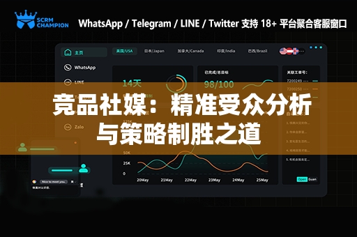  竞品社媒：精准受众分析与策略制胜之道