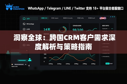  洞察全球：跨国CRM客户需求深度解析与策略指南