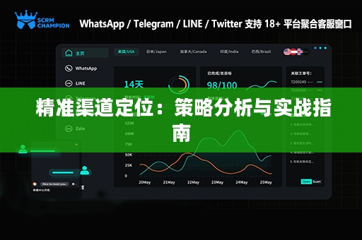  精准渠道定位：策略分析与实战指南