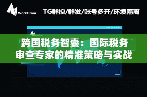  跨国税务智囊：国际税务审查专家的精准策略与实战指南