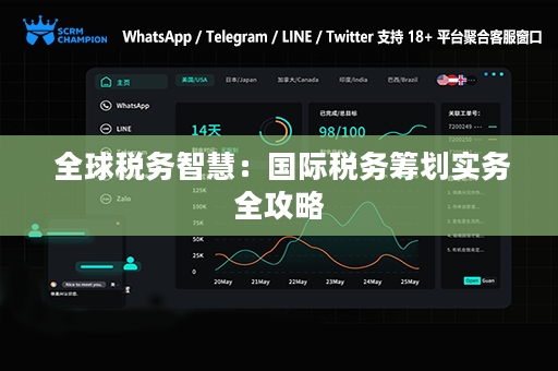  全球税务智慧：国际税务筹划实务全攻略