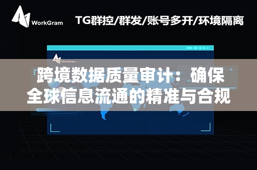  跨境数据质量审计：确保全球信息流通的精准与合规