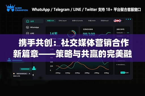  携手共创：社交媒体营销合作新篇章——策略与共赢的完美融合