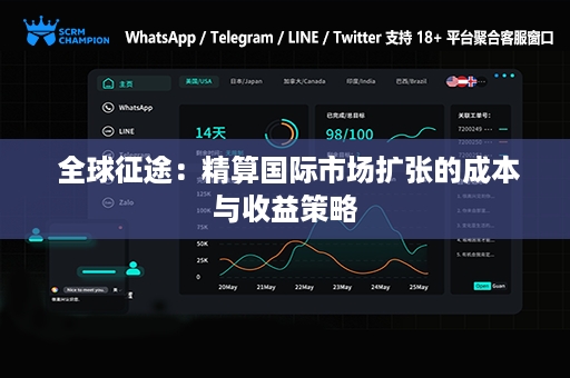  全球征途：精算国际市场扩张的成本与收益策略