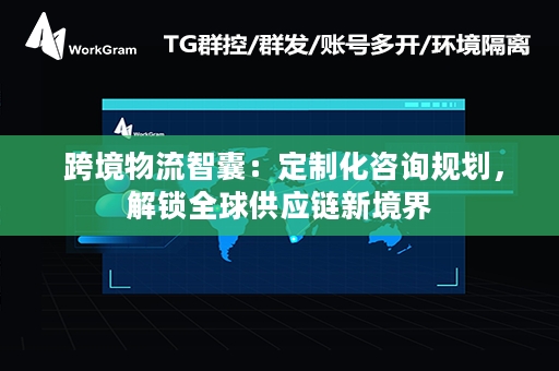  跨境物流智囊：定制化咨询规划，解锁全球供应链新境界