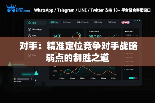  对手：精准定位竞争对手战略弱点的制胜之道