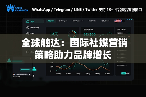  全球触达：国际社媒营销策略助力品牌增长
