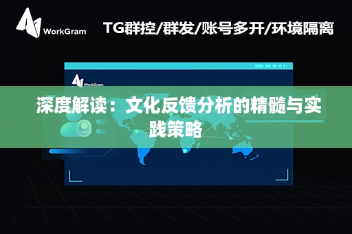  深度解读：文化反馈分析的精髓与实践策略