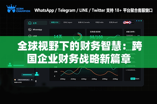  全球视野下的财务智慧：跨国企业财务战略新篇章