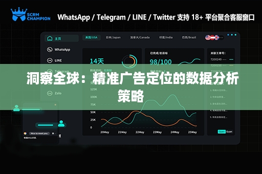  洞察全球：精准广告定位的数据分析策略