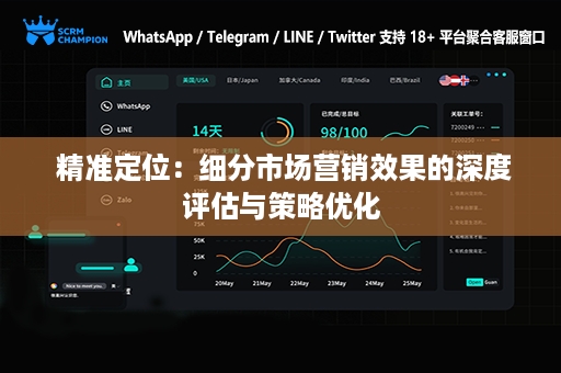  精准定位：细分市场营销效果的深度评估与策略优化