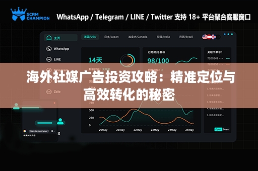  海外社媒广告投资攻略：精准定位与高效转化的秘密