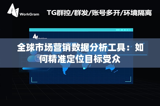 全球市场营销数据分析工具：如何精准定位目标受众