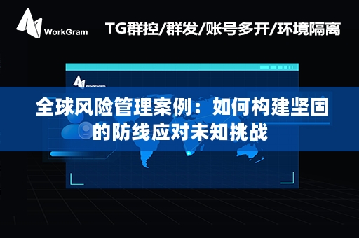  全球风险管理案例：如何构建坚固的防线应对未知挑战