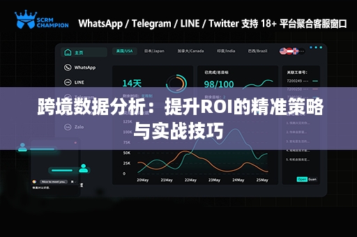  跨境数据分析：提升ROI的精准策略与实战技巧