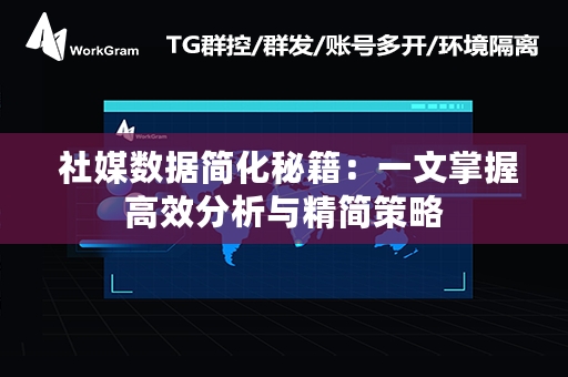  社媒数据简化秘籍：一文掌握高效分析与精简策略