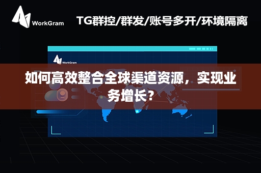 如何高效整合全球渠道资源，实现业务增长？