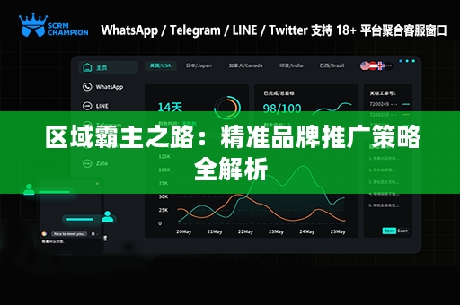 区域霸主之路：精准品牌推广策略全解析
